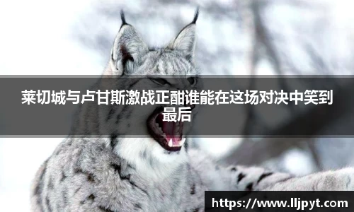 快盈VIII网址