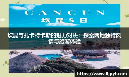 快盈VIII