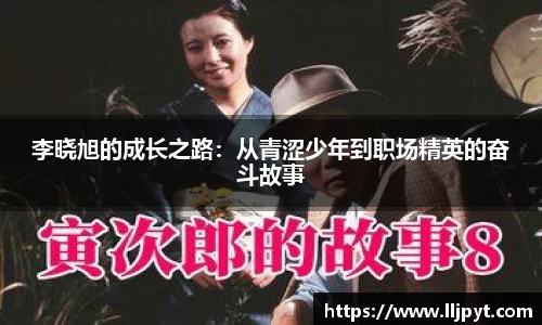 快盈VIII